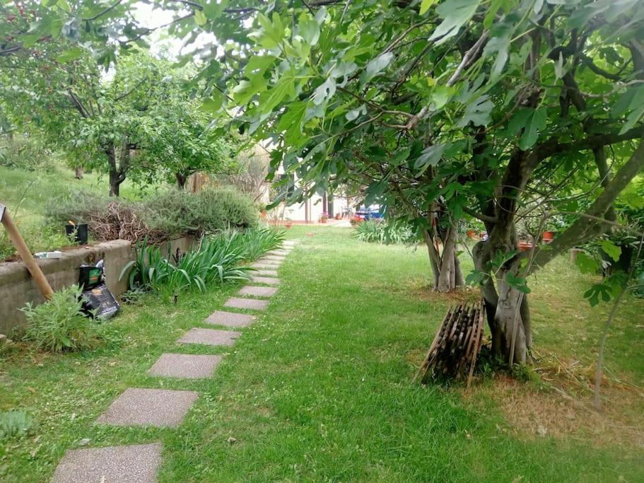 Apartamento The Jasmine House Castel San Pietro Terme Exterior foto